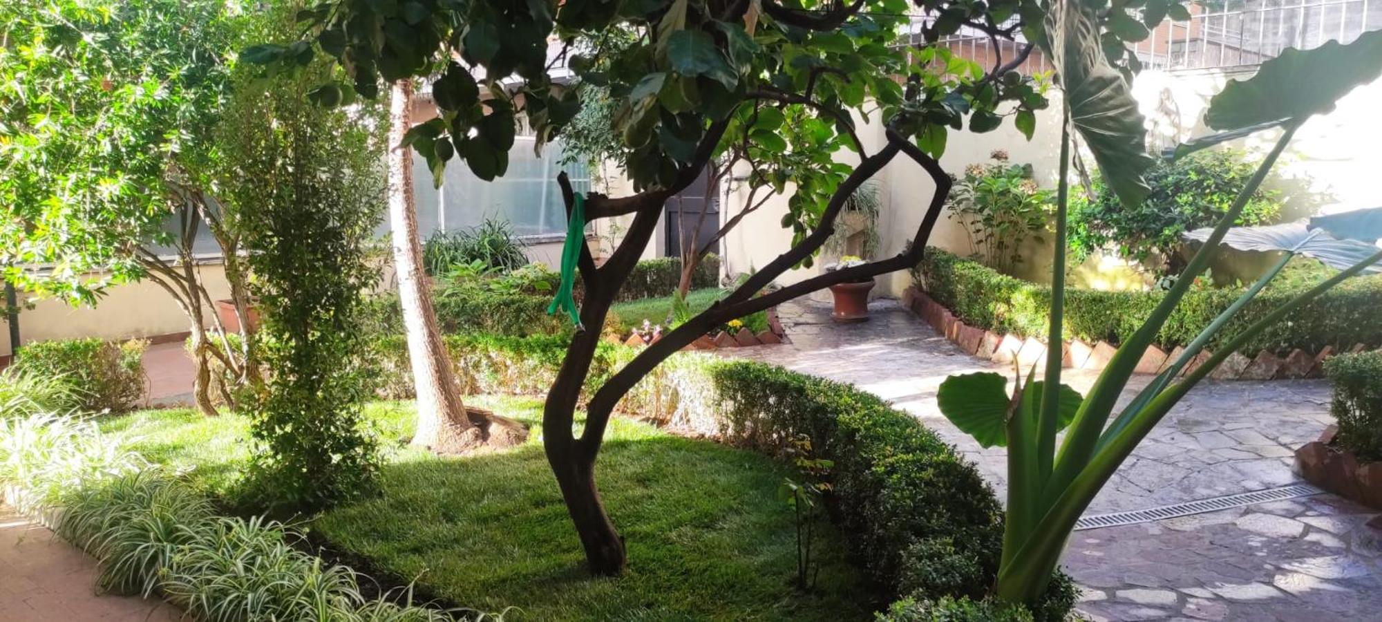 Villa Angeli Roma Exterior foto